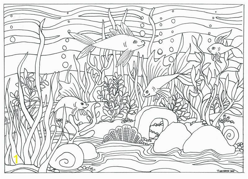 Rainforest Scene Coloring Pages Fish & Aquarium Scene Coloring Page Coloring for Adults by