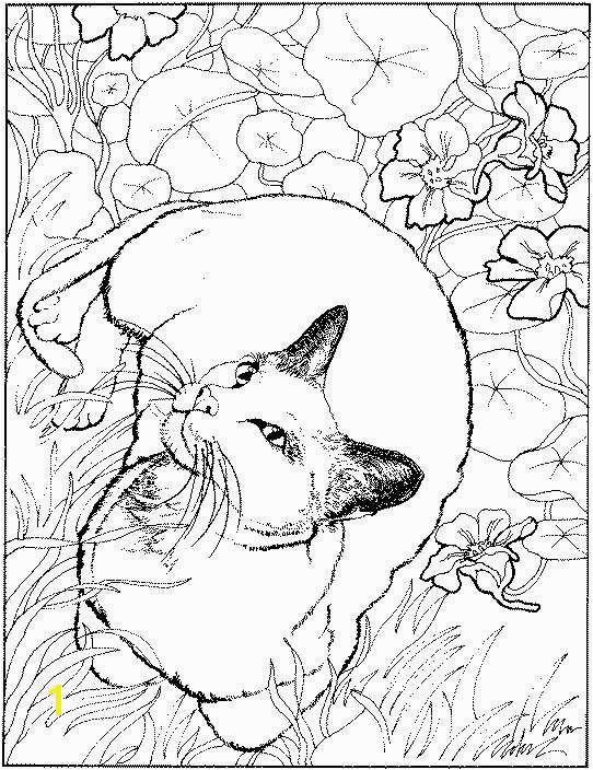 Realistic Cat Coloring Pages 18fresh Realistic Animal Coloring Pages Clip Arts & Coloring Pages
