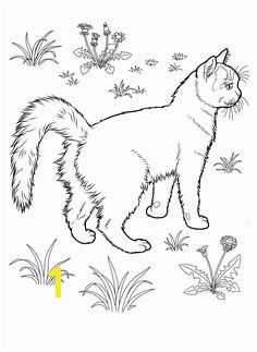 Cat coloring pages for teens and adults
