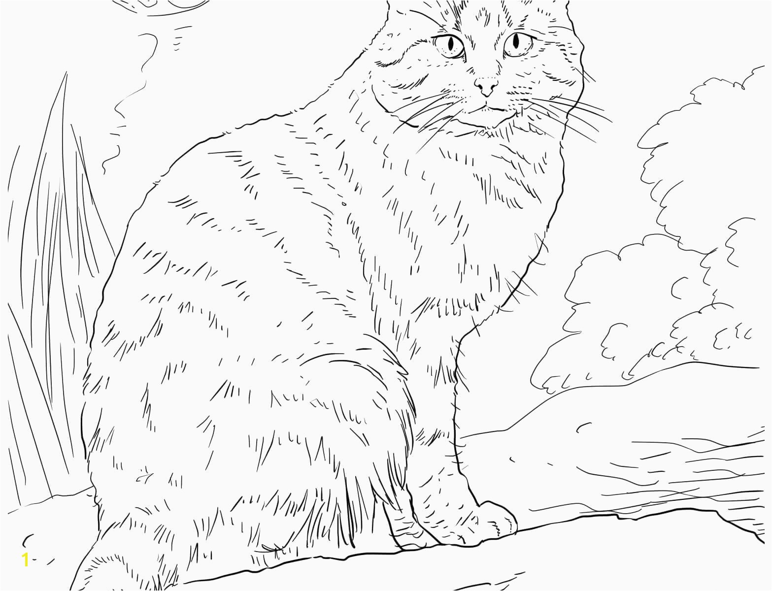 Cat Coloring Pages Free Printable Awesome Cool Od Dog Coloring Pages Free Colouring Pages Cat