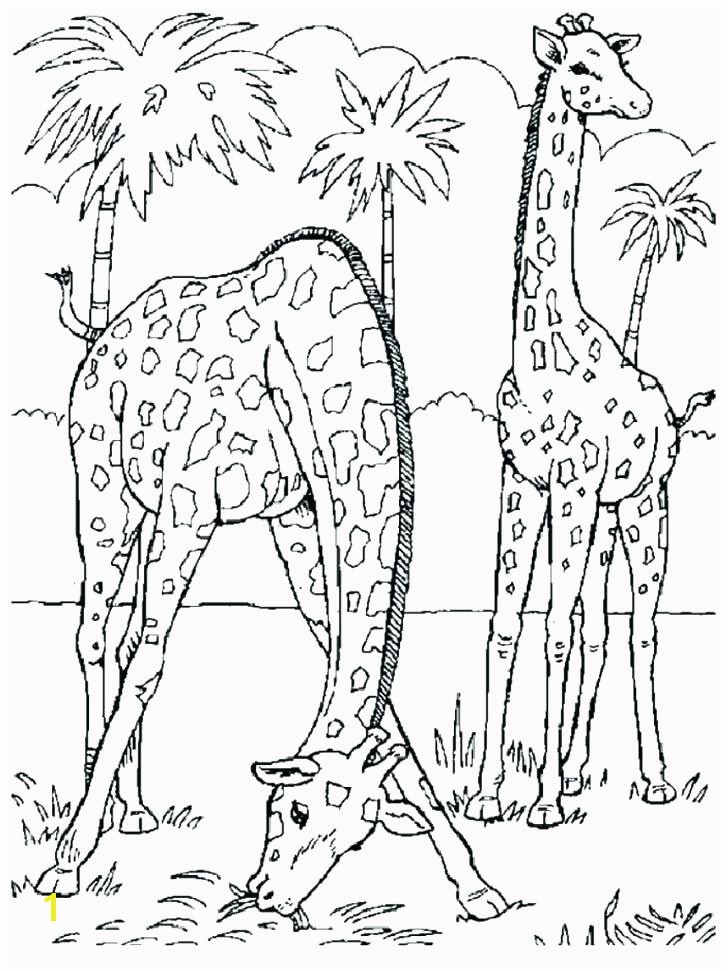 Realistic Coloring Pages Of Animals Realistic Animal Coloring Pages Realistic Animal Coloring Pages and