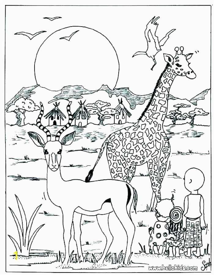 Realistic Coloring Pages Of Animals Realistic Animal Coloring Pages Realistic Animal Coloring Pages Wild
