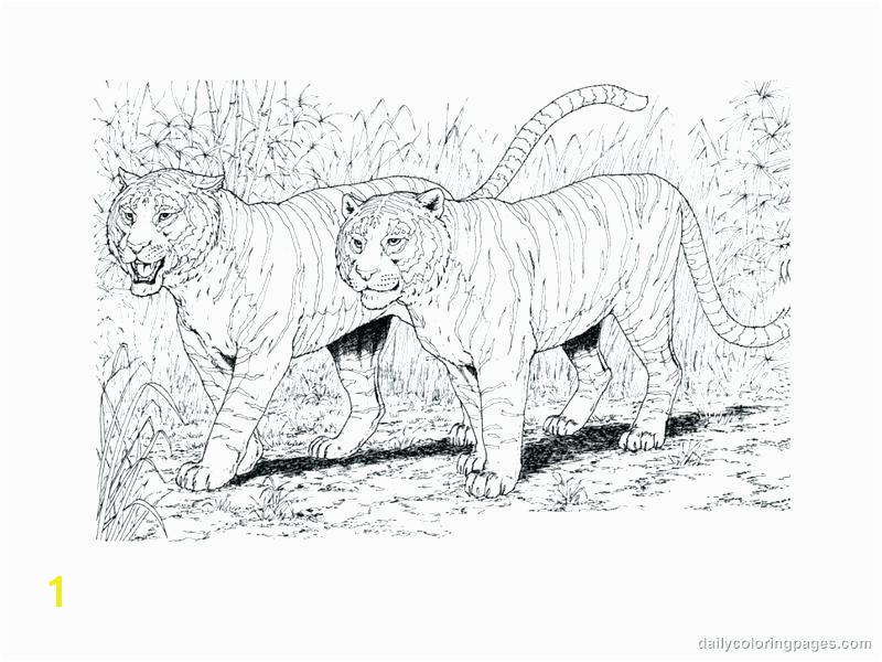 Realistic Coloring Pages Animals 5