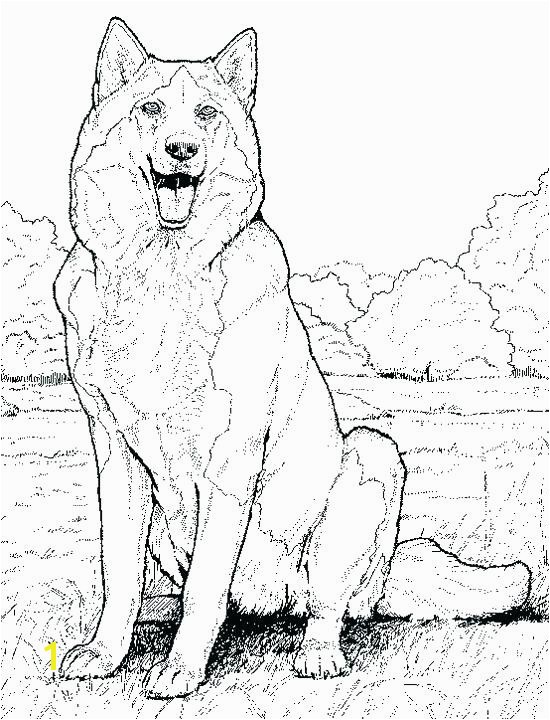 Realistic Coloring Pages Of Animals Realistic Coloring Realistic Dragon Coloring Pages for Adults