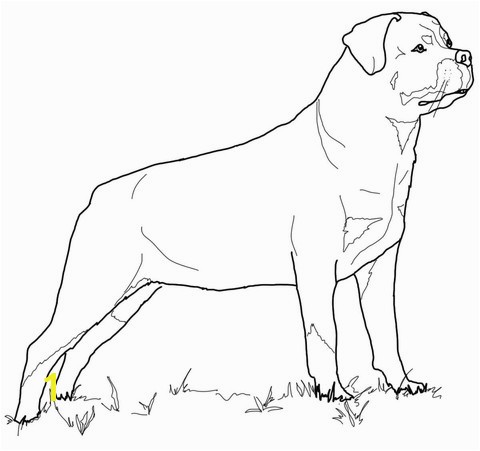 Rottweiler Puppies Coloring Pages Printable To Fancy Page Free Beautiful