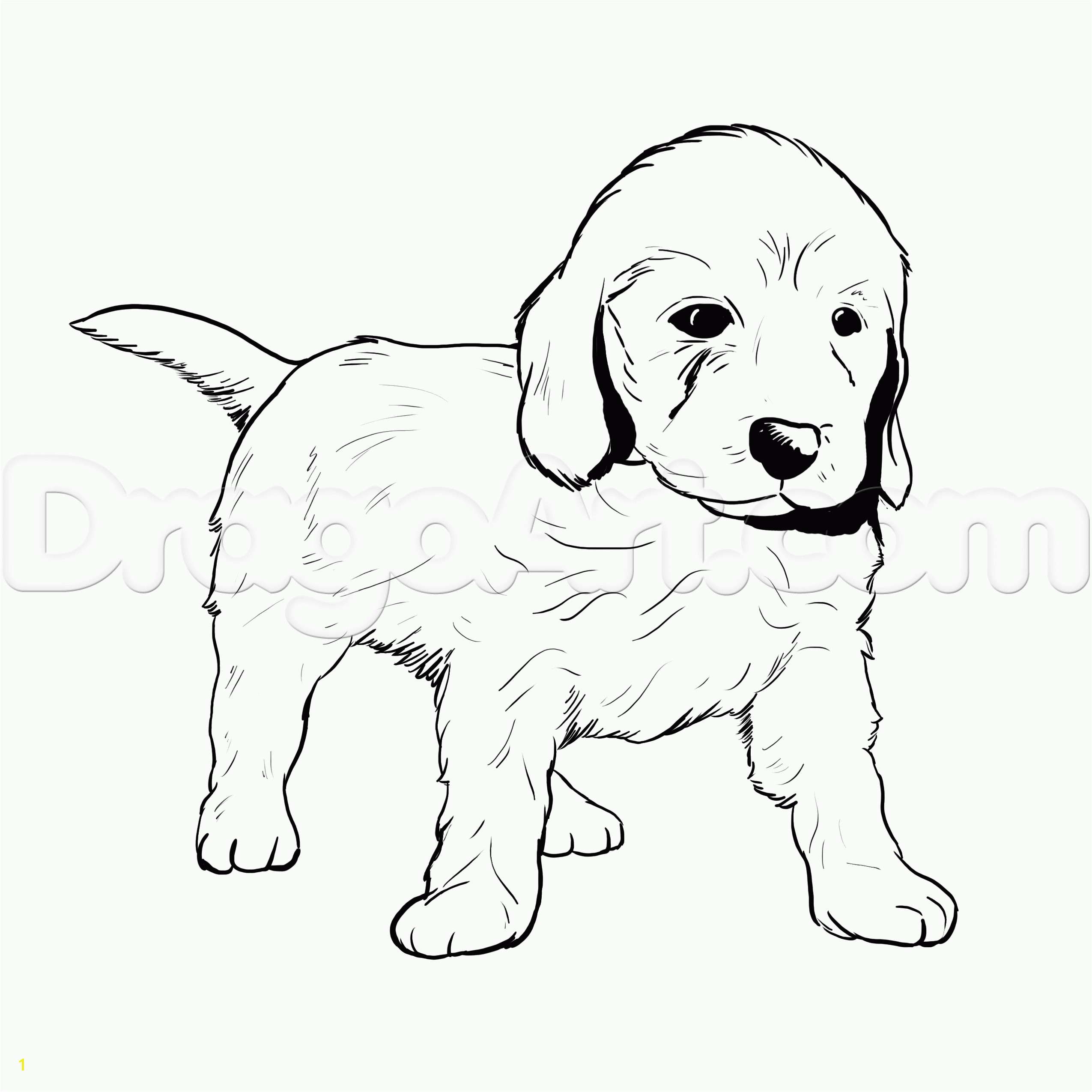 Big Rottweiler Puppies Coloring Pages Free Goldendoodle Color Sheets