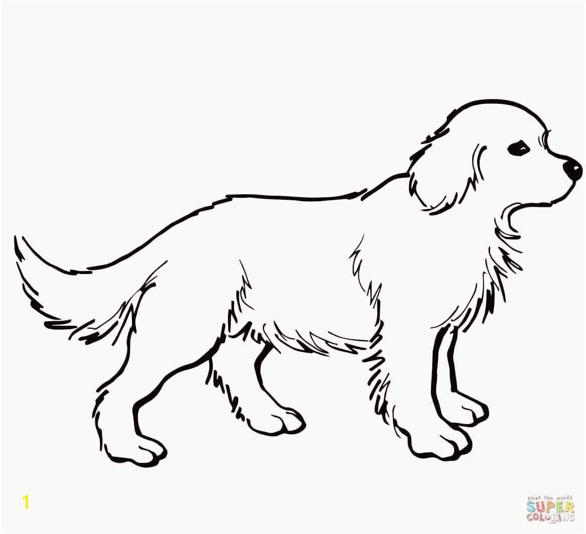 Rottweiler Puppies Coloring Pages Rottweiler Puppies Coloring Pages Amazing 15 Best Boxer Puppy