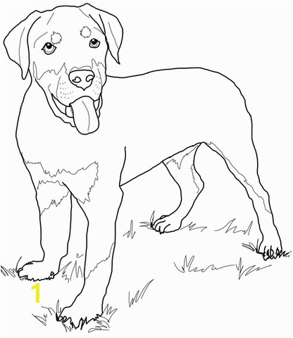 Rottweiler Puppies Coloring Pages Rottweiler Puppy Coloring Page