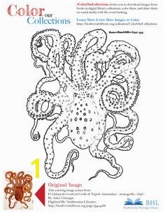 Octopus Art Save Image Adult Coloring Pages Coloring Books Colouring Image Sharing Color Shapes Original Image Octopuses Vintage Coloring Books