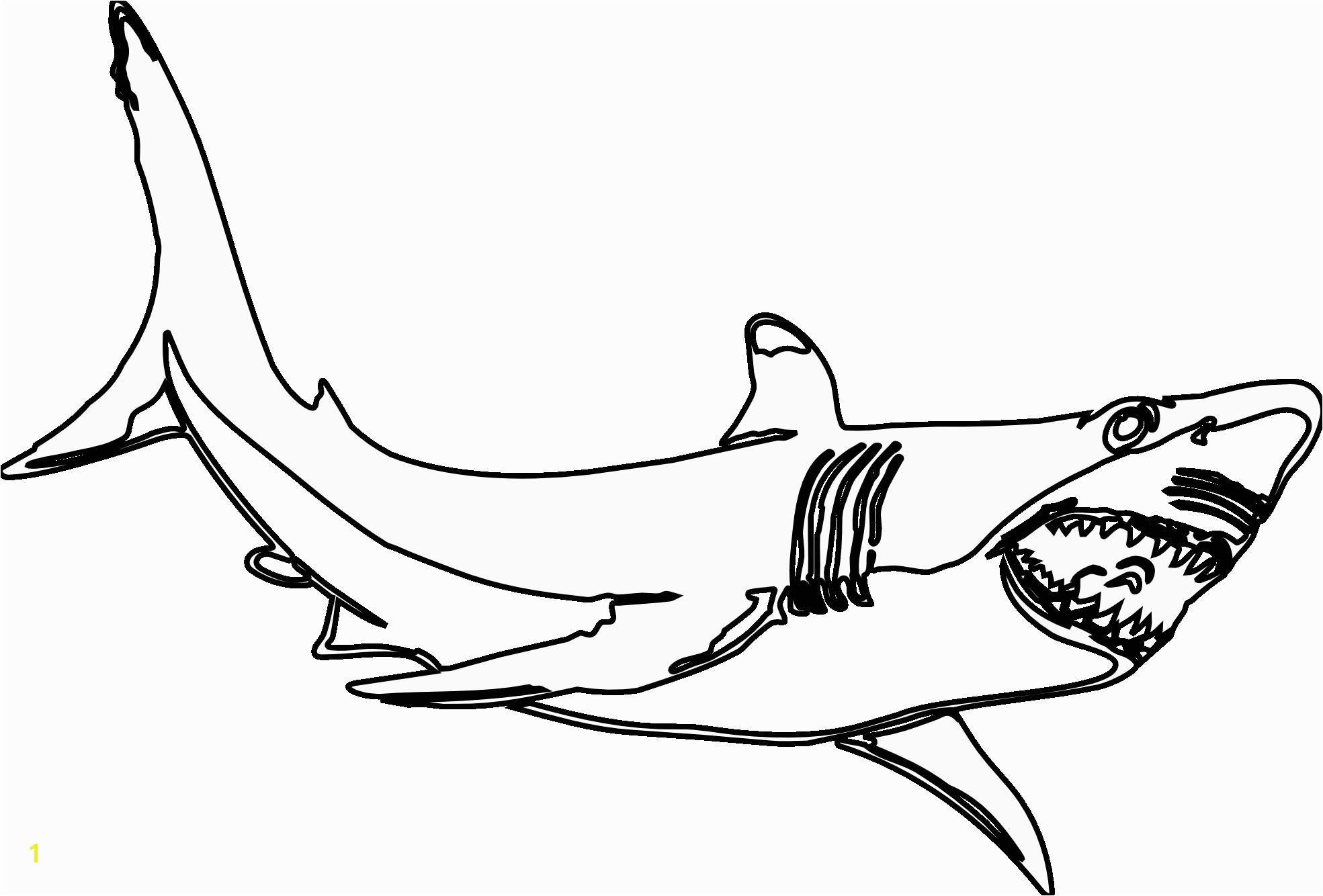 Shark Teeth Coloring Pages Free Shark Coloring Pages
