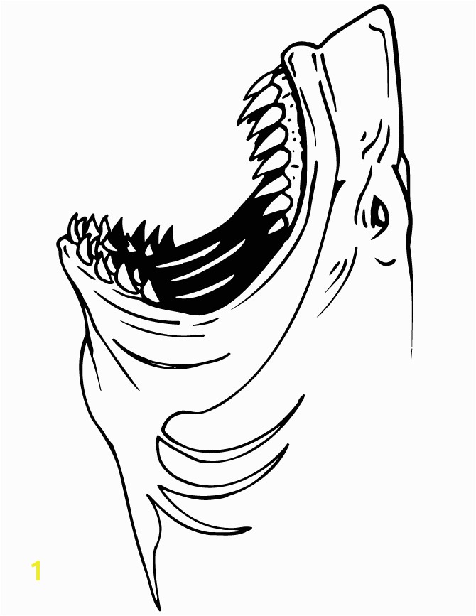 Shark Teeth Coloring Pages Sharks Coloring Pages 670867