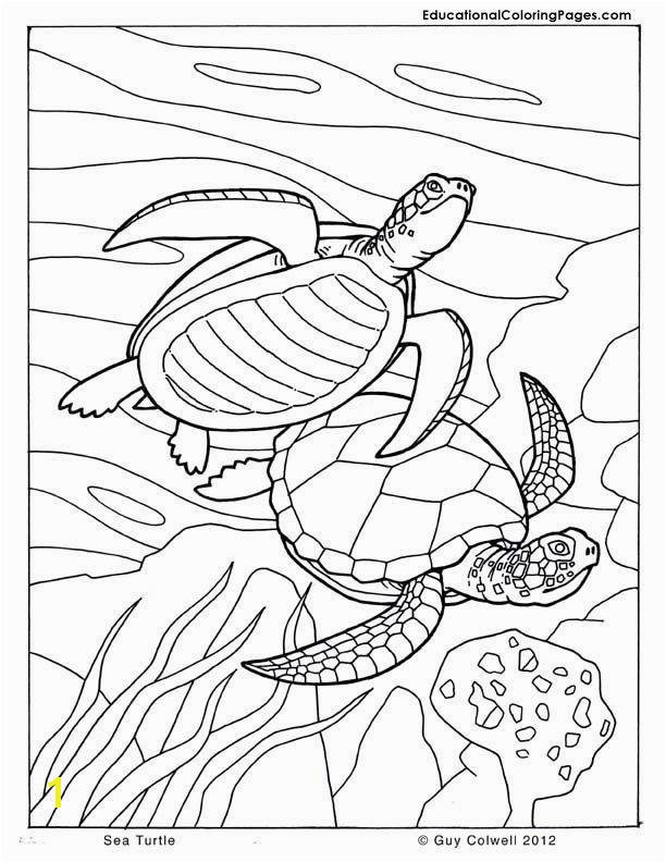 Saltwater Fish Coloring Pages Fresh New Od Dog Coloring Pages Free Inspiration Fish Coloring Pages