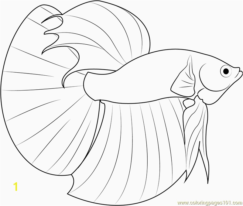 Realistic Fish Coloring Pages Best 60 Beautiful Siamese Fighting Fish Coloring Pages