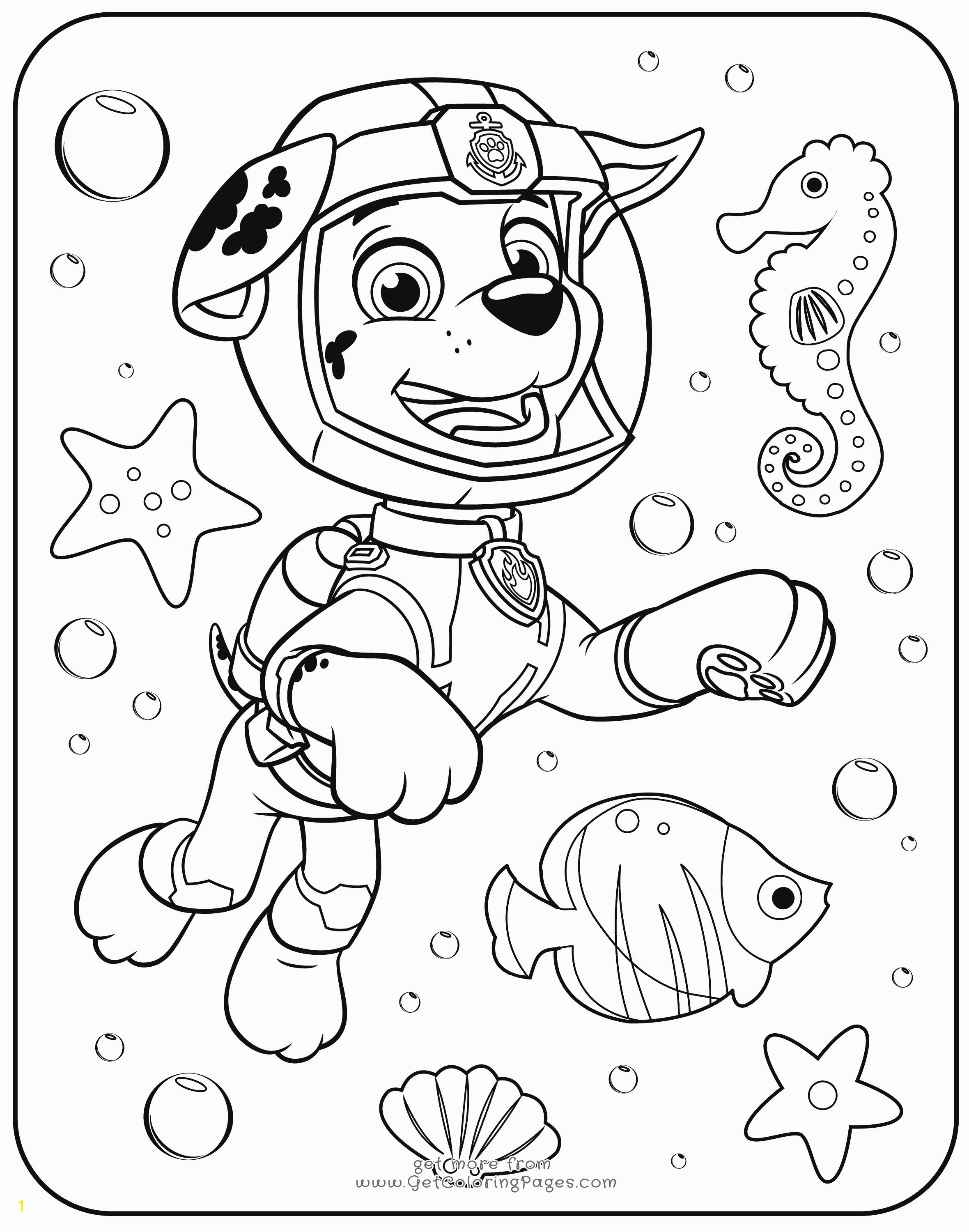 Printable Paw Patrol Coloring Pages Zuma Coloring Pages New Paw Patrol Rocky Skye And Zuma Coloring Page