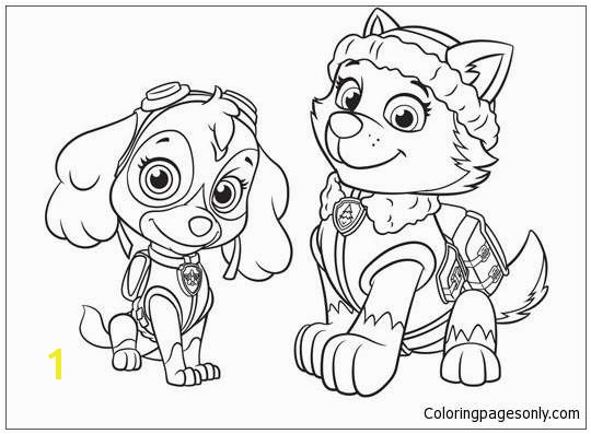 Zuma Paw Patrol Coloring Page Best Skye Paw Patrol Coloring Pages