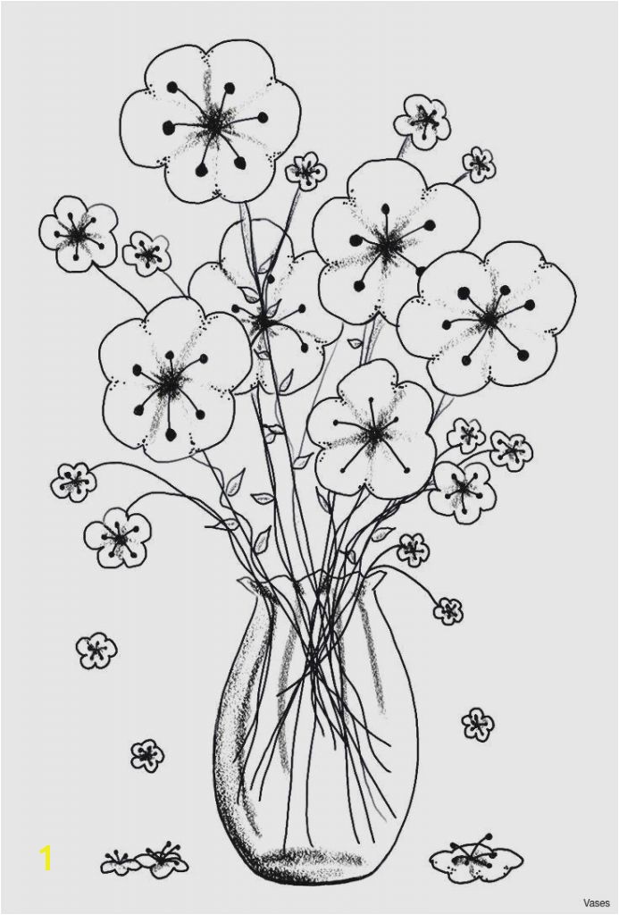 Sonoran Desert Coloring Pages 20 Awesome sonoran Desert Animals Coloring Pages