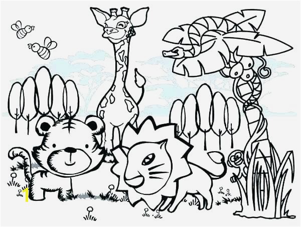 Sonoran Desert Animals Coloring Pages Related Post