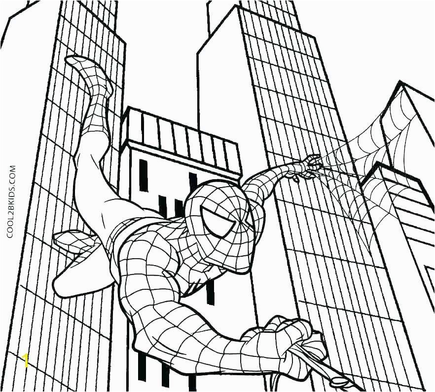 Coloring Pages Line for Spider Related Post