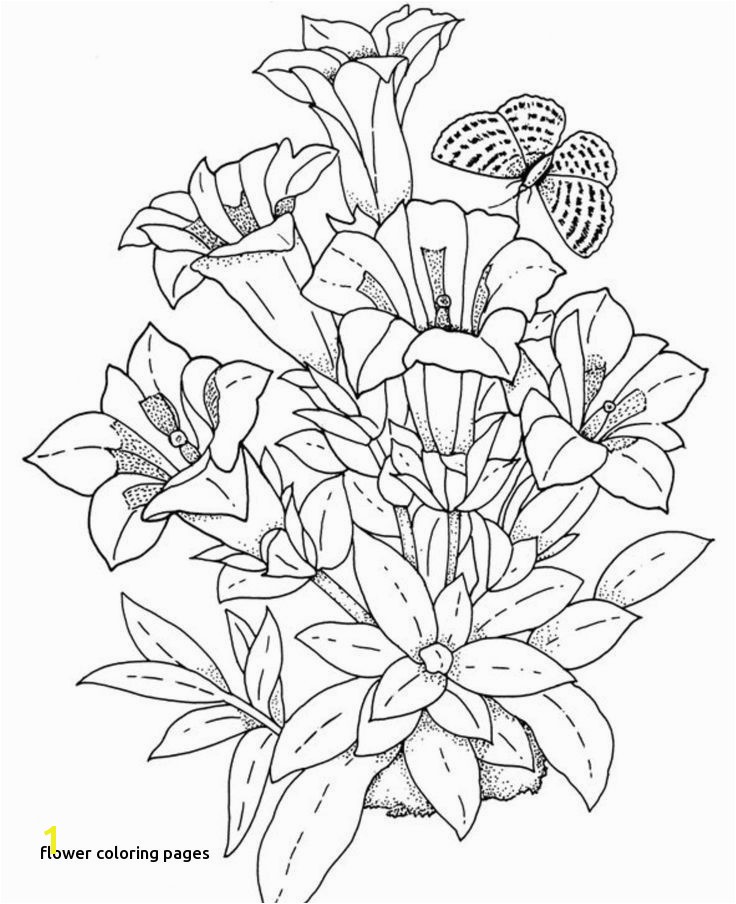 Flowers Coloring Page Cool Vases Flower Vase Coloring Page Pages Flowers In A top I 0d