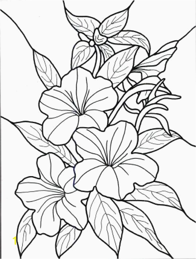 Sunflower Printable Coloring Pages Flower Coloring Book Pages New Vases Flower Vase Coloring Page Pages