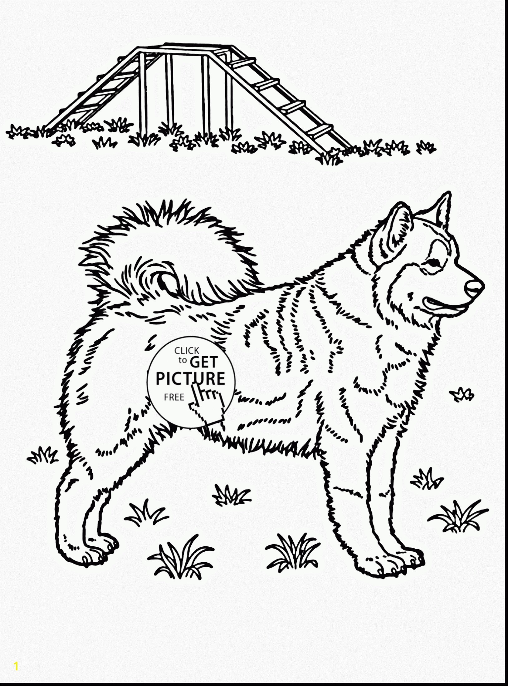 Coloring Pages Huskies Husky Coloring Pages Wonderful Husky Coloring 0d Free Coloring Pages