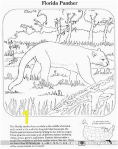 florida panther coloring pages