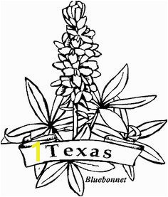 Bluebonnet Clip Art