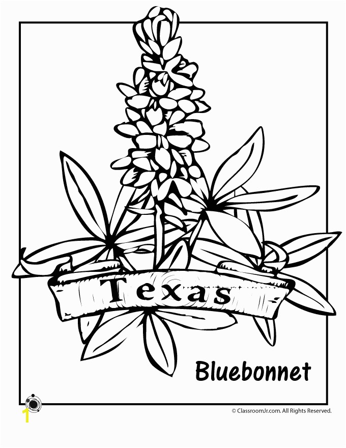 Texas State Flower Coloring Page