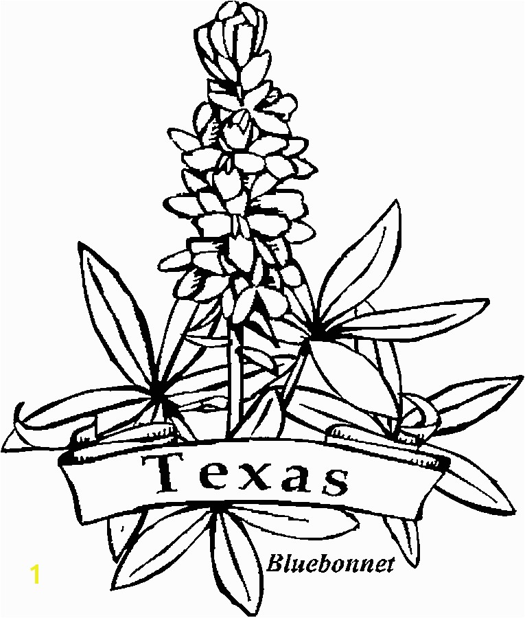 State Quarter – coloring page BLUEBONNET Love this because of the Tx Banner label
