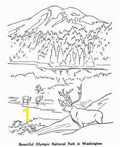 Olympic National Park Coloring Page