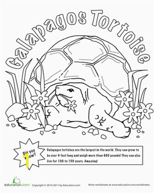 Color the Tortoise and the Hare