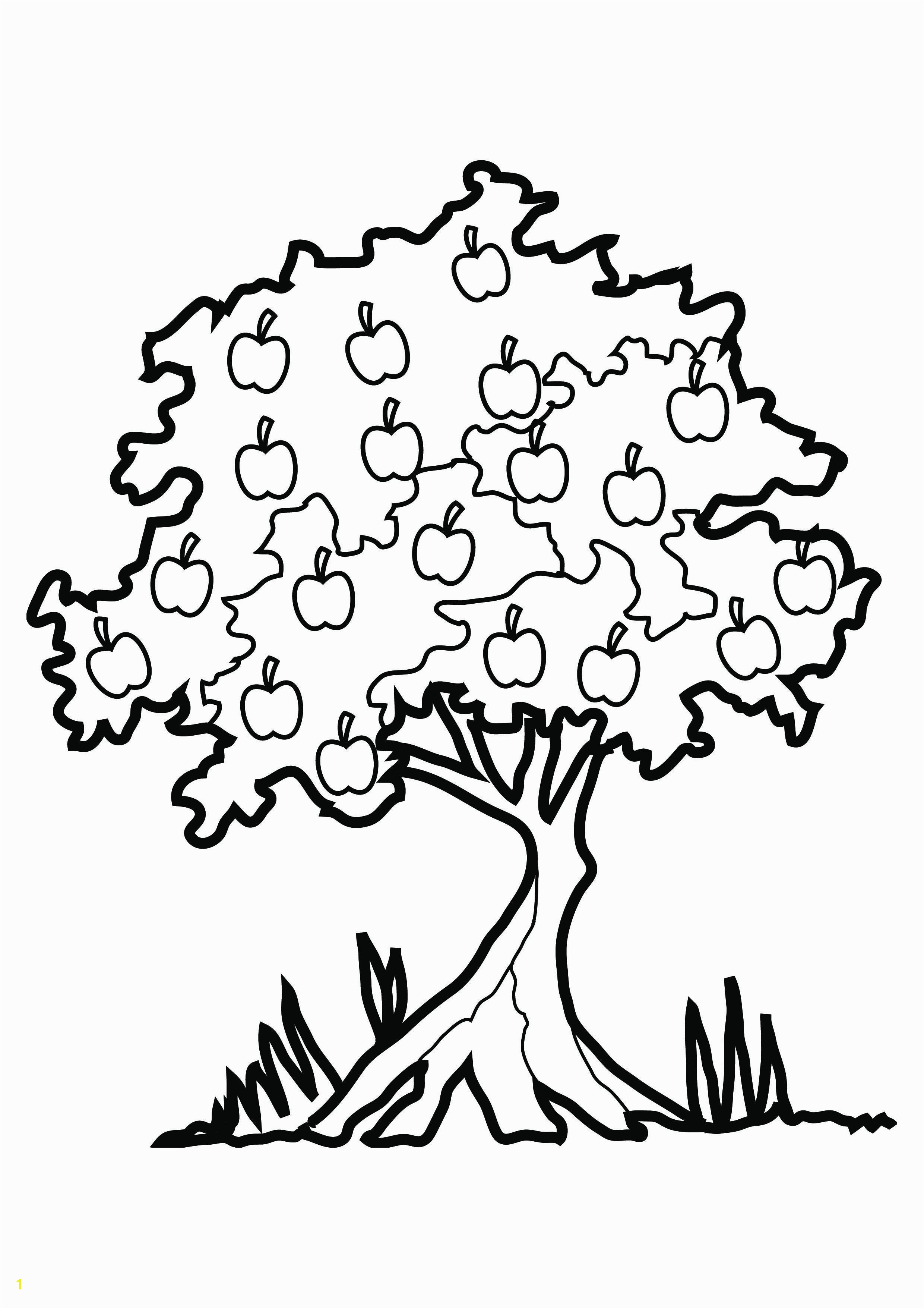Tree Bark Coloring Pages Unique Pecan Tree Drawing at Getdrawings