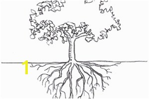 Tree with Roots Coloring Page 28 Collection Of Tree Coloring Pages with Roots