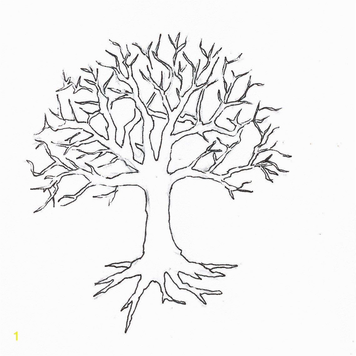 Coloring Page Tree With Roots 15 Unique Oak Leaf Beautiful