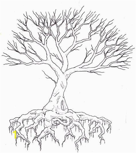 Tree with Roots Coloring Page Tree Drawing with Color and Roots Tree with Roots Coloring Page