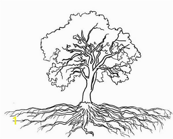 Tree with Roots Coloring Page Tree with Roots Coloring Page ÐеÑевÑÑ Pinterest