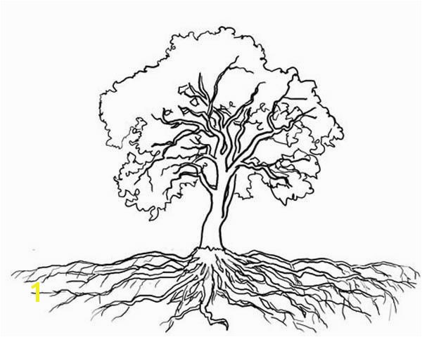 Tree with Roots Coloring Page Tree with Roots Coloring Page ÐÐµÑÐµÐ²ÑÑ Pinterest