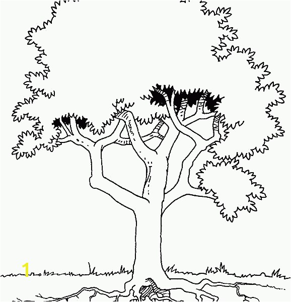 Roots Coloring Page Bialystoker easy coloring pages Tree With Roots Coloring Page