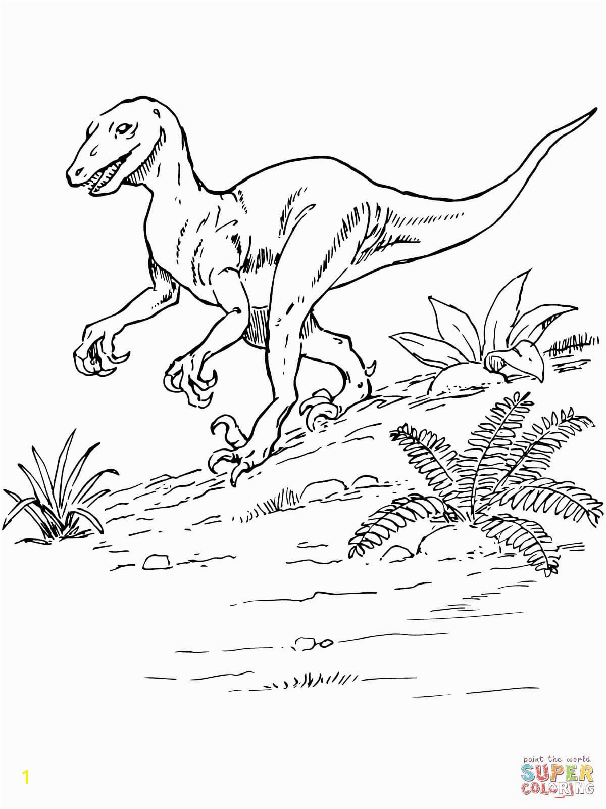 Troodon Coloring Page 15 Inspirational Jurassic World Coloring Pages