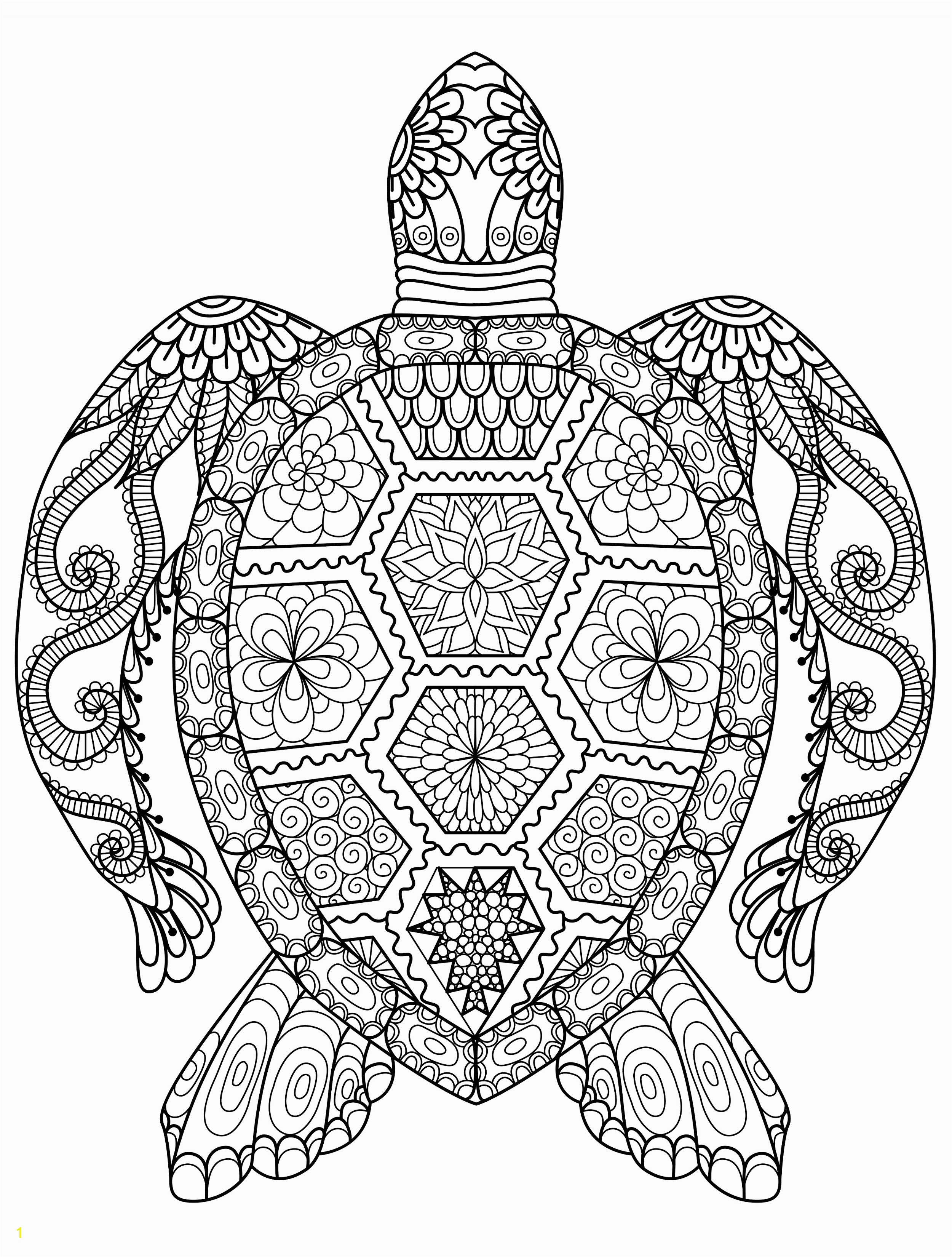 sea turtle coloring page for adults for free