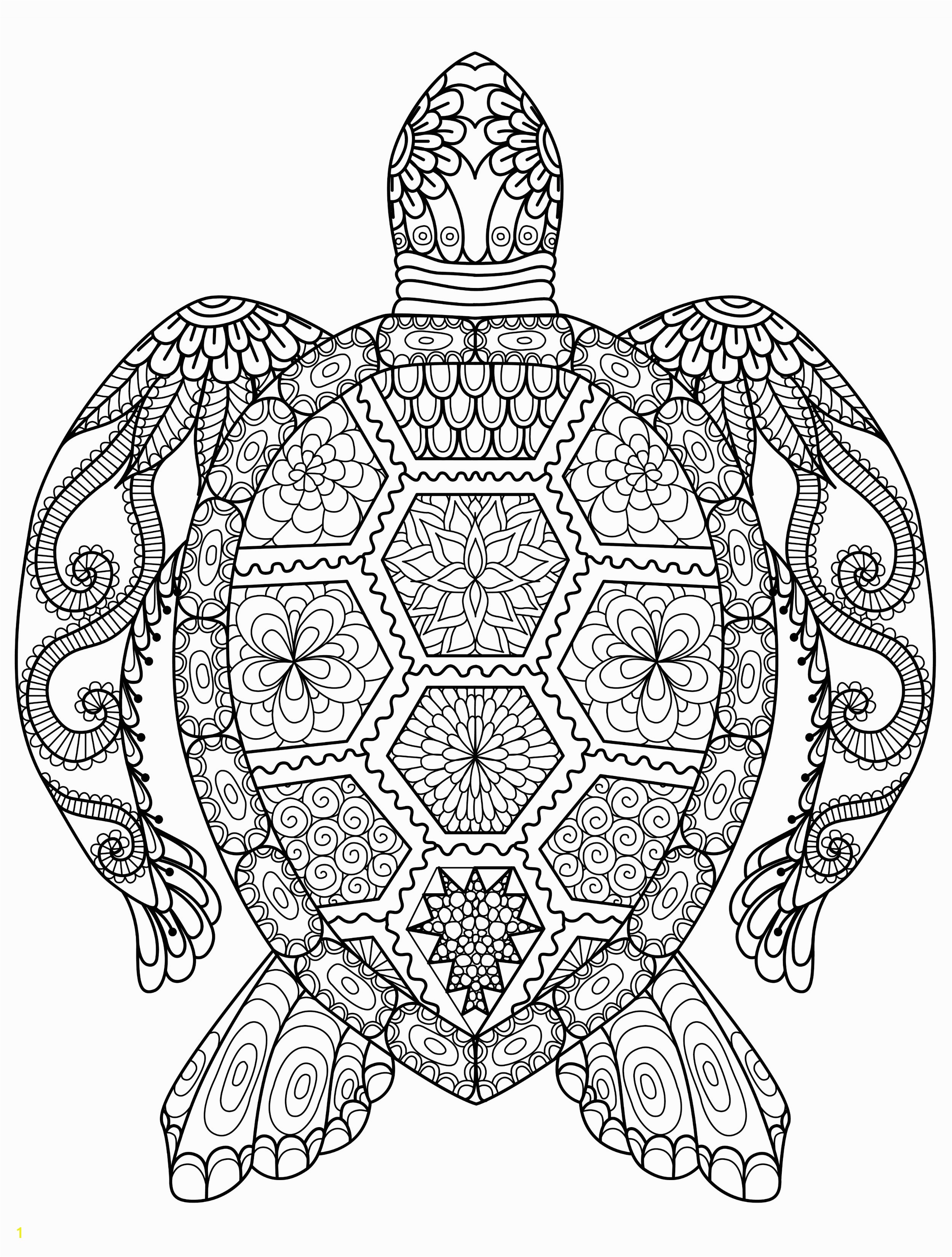 sea turtle coloring page for adults for free