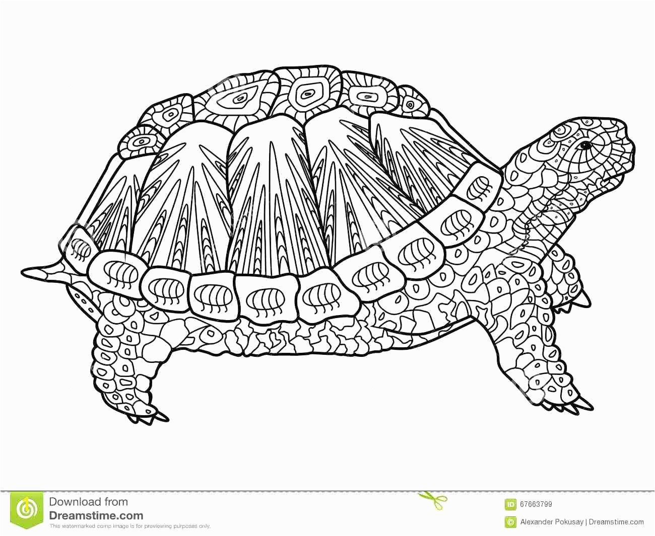 Helpful Turtle Coloring Pages For Adults Adult Brilliant