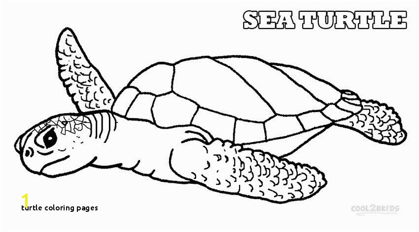 Turtle Coloring Pages for Adults Turtle Coloring Pages Sea Turtle Coloring Page 17 Fresh Realistic
