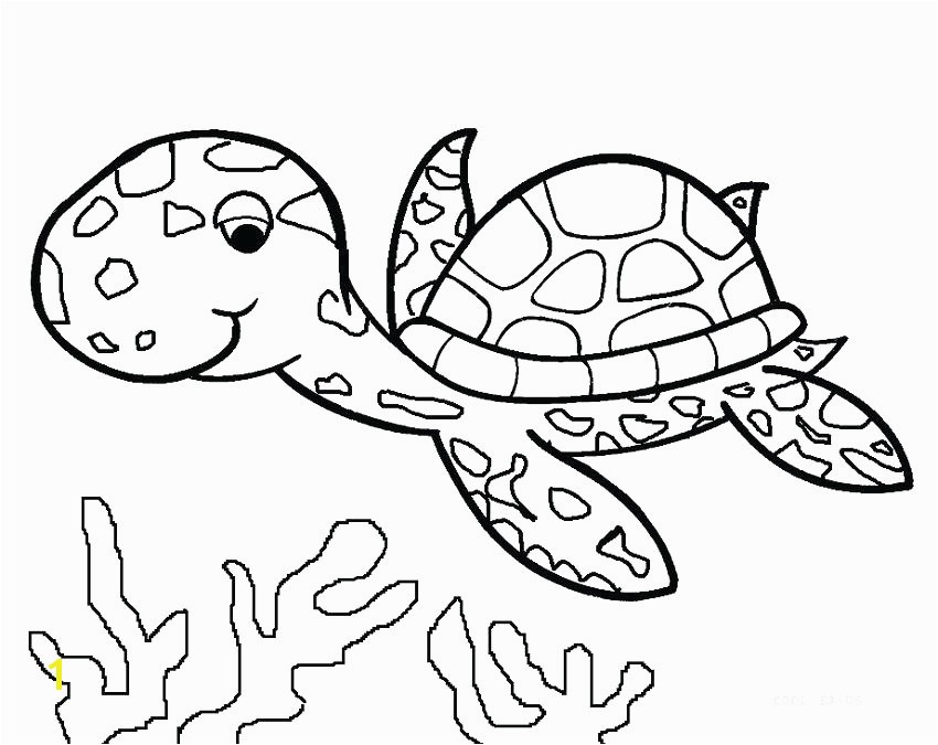 Turtle Coloring Fresh Coloring Pages Line New Line Coloring 0d Turtle Coloring