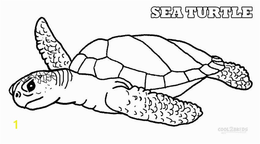 turtle coloring pages new turtle coloring pages color plate coloring sheetprintable coloring of turtle coloring pages