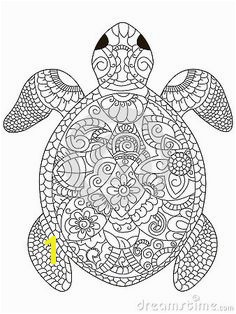 Image result for turtle colouring pages for adults