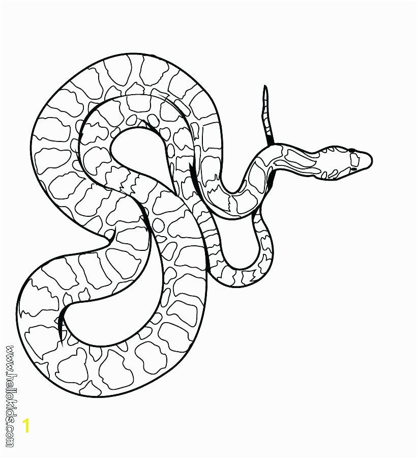 artistic snake coloring pictures w96 44 classy snake colouring pictures free awesome coloring pages of a cheerful snake coloring