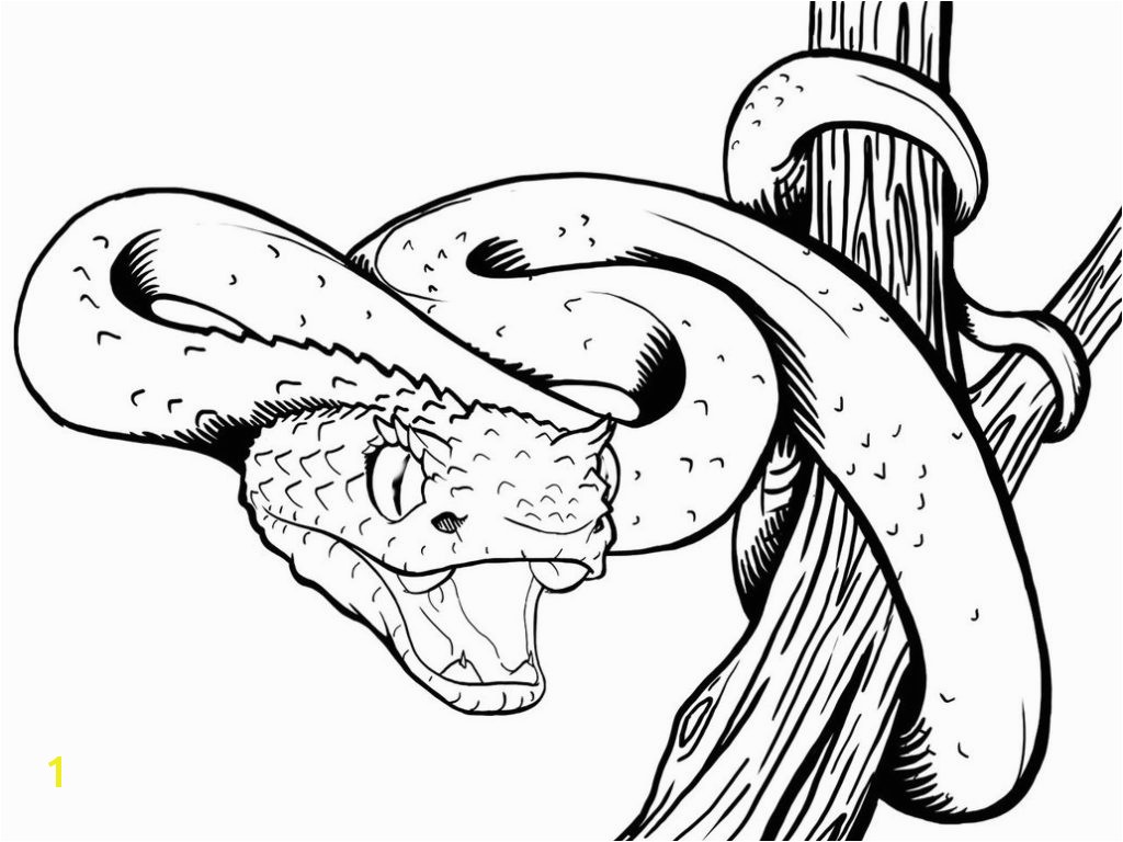 Viper Snake Coloring Page