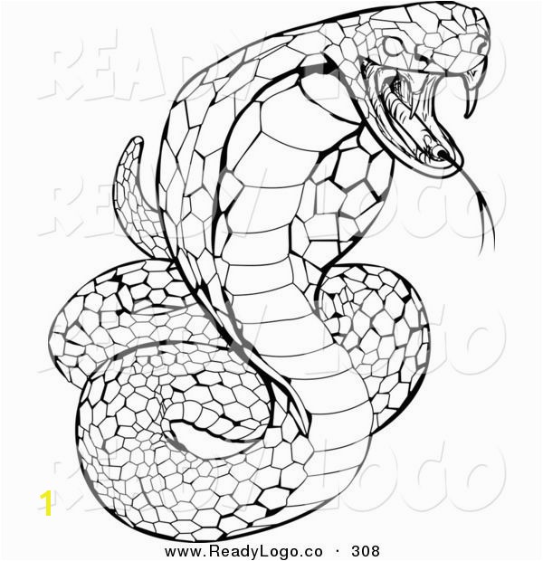 Viper Snake Coloring Page