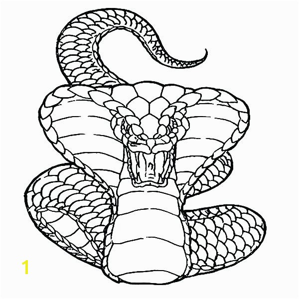 Viper Snake Coloring Page Viper Snake Coloring Page Viper Snake Coloring Pages Viper Snake